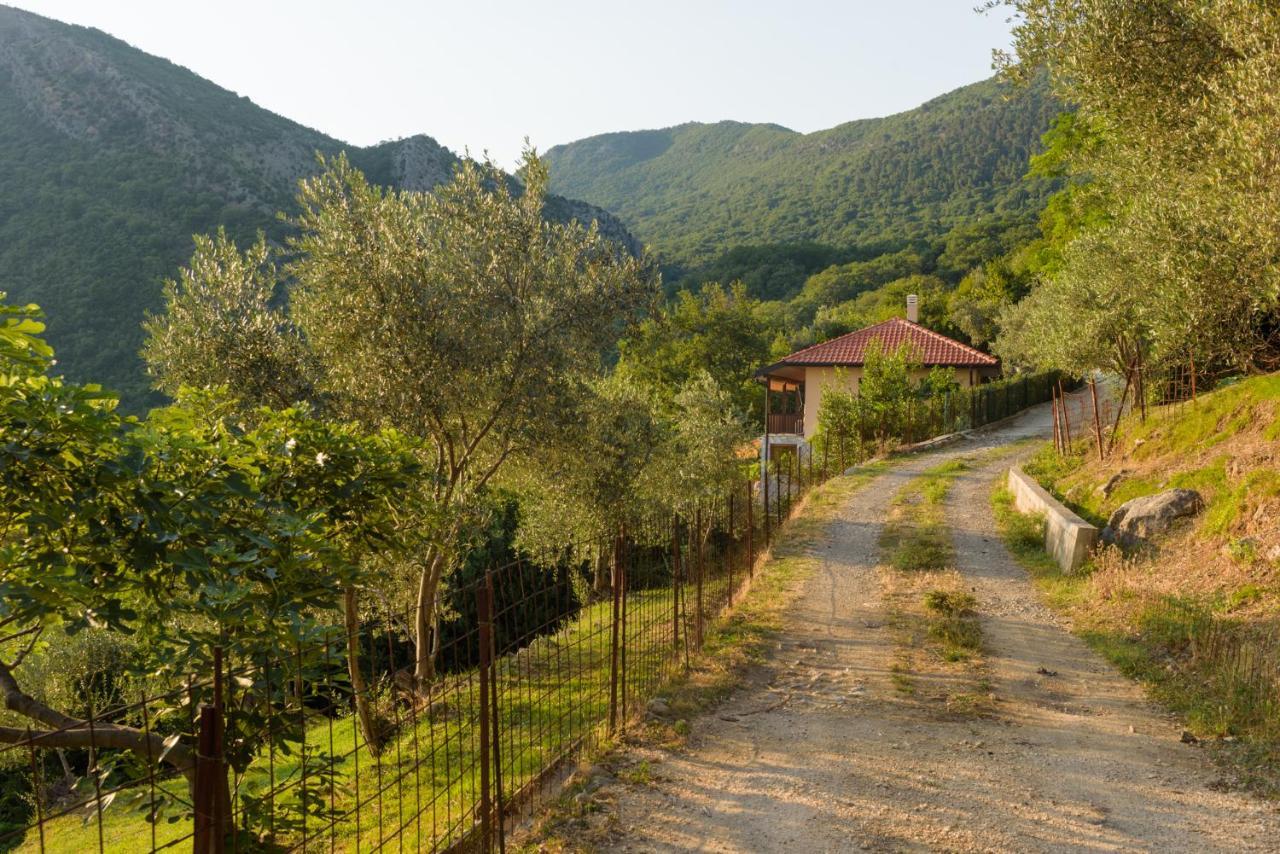 Sunset Holiday Home Tivat Exteriér fotografie
